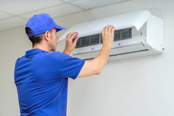 Air Duct Mold Removal in Balm, FL