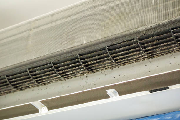Affordable HVAC Duct Cleaning in Balm, FL
